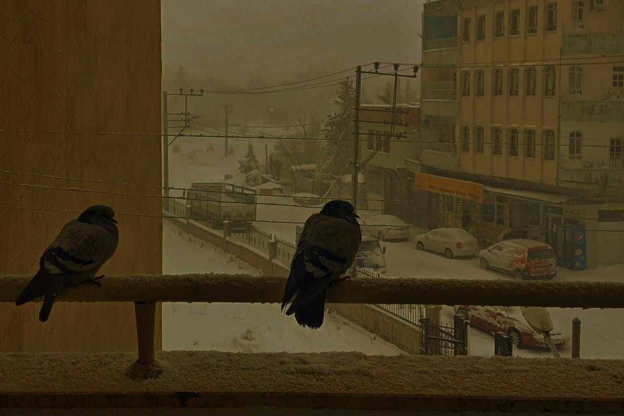 Görünür İyilik, Toplumsal Bir Performanstır